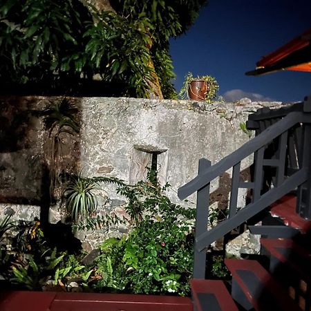 Apartament Mid-Century: Caribbean Style Contant  Zewnętrze zdjęcie