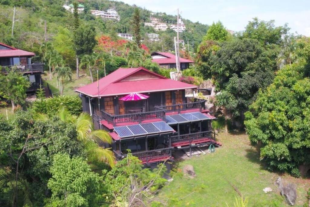 Apartament Mid-Century: Caribbean Style Contant  Zewnętrze zdjęcie