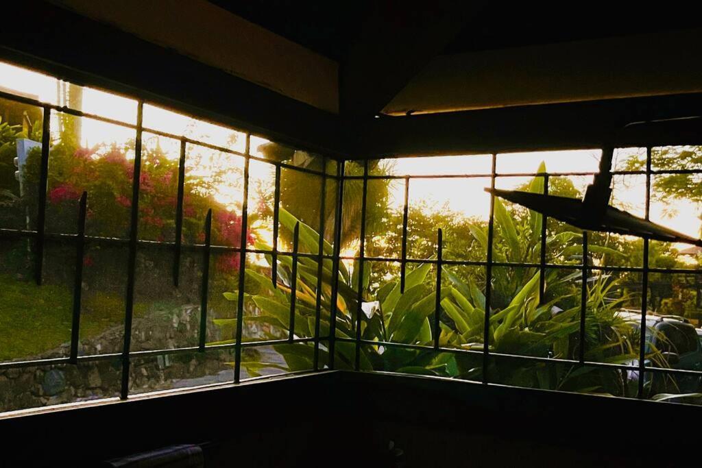 Apartament Mid-Century: Caribbean Style Contant  Zewnętrze zdjęcie